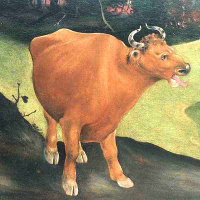 Cow