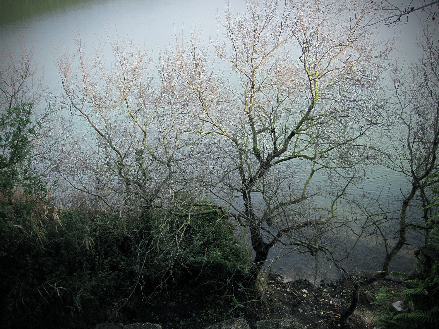 A view from an overhang at Butrint, Albania, 2010