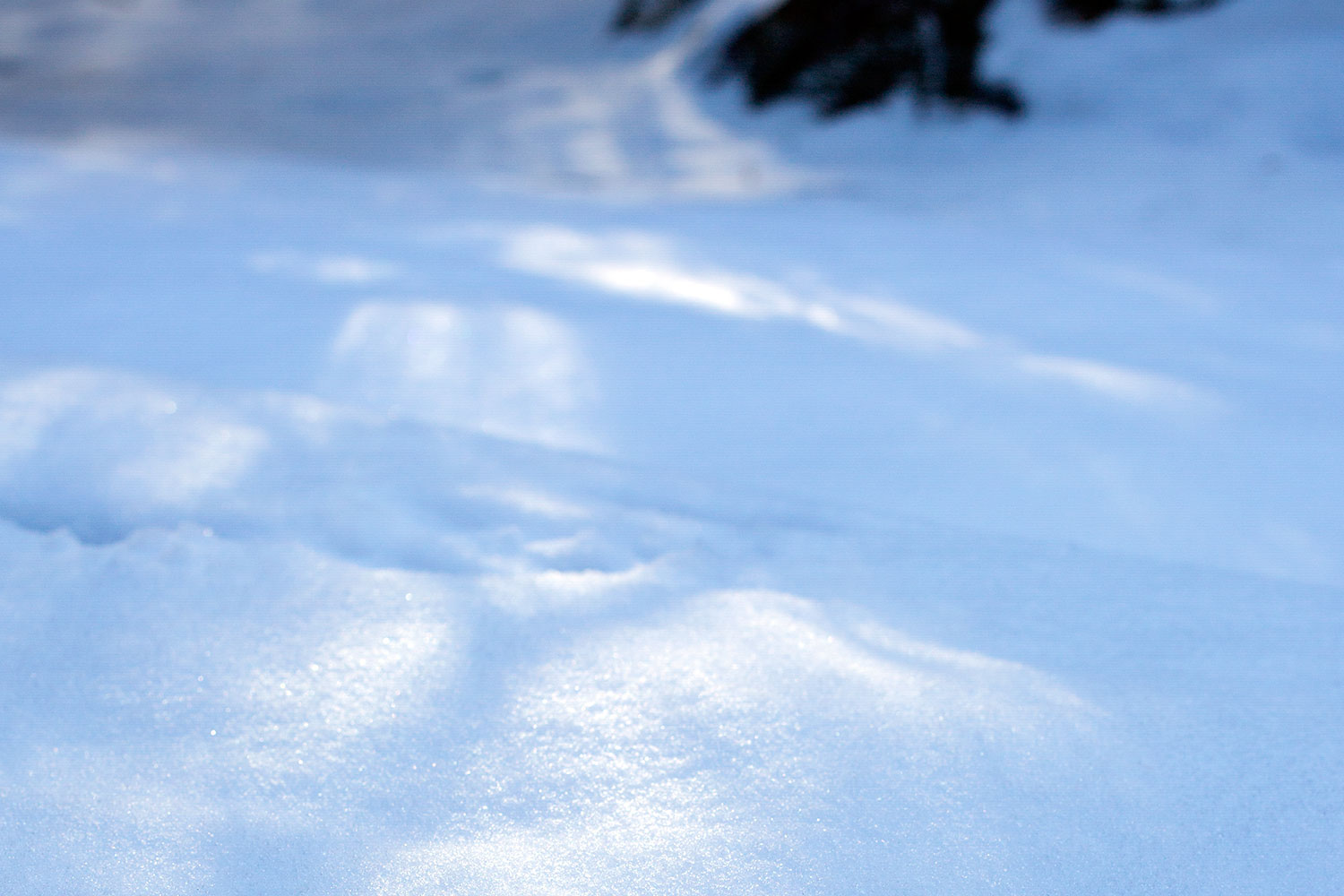 Snow, shade, sunlight