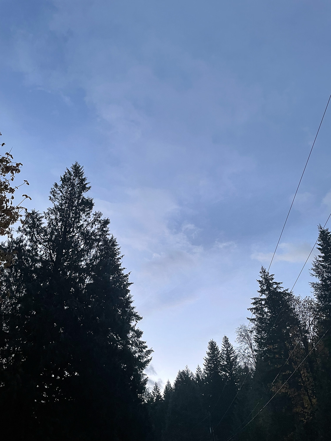 a view of the purple-blue sky, looking east, on an autumn morning