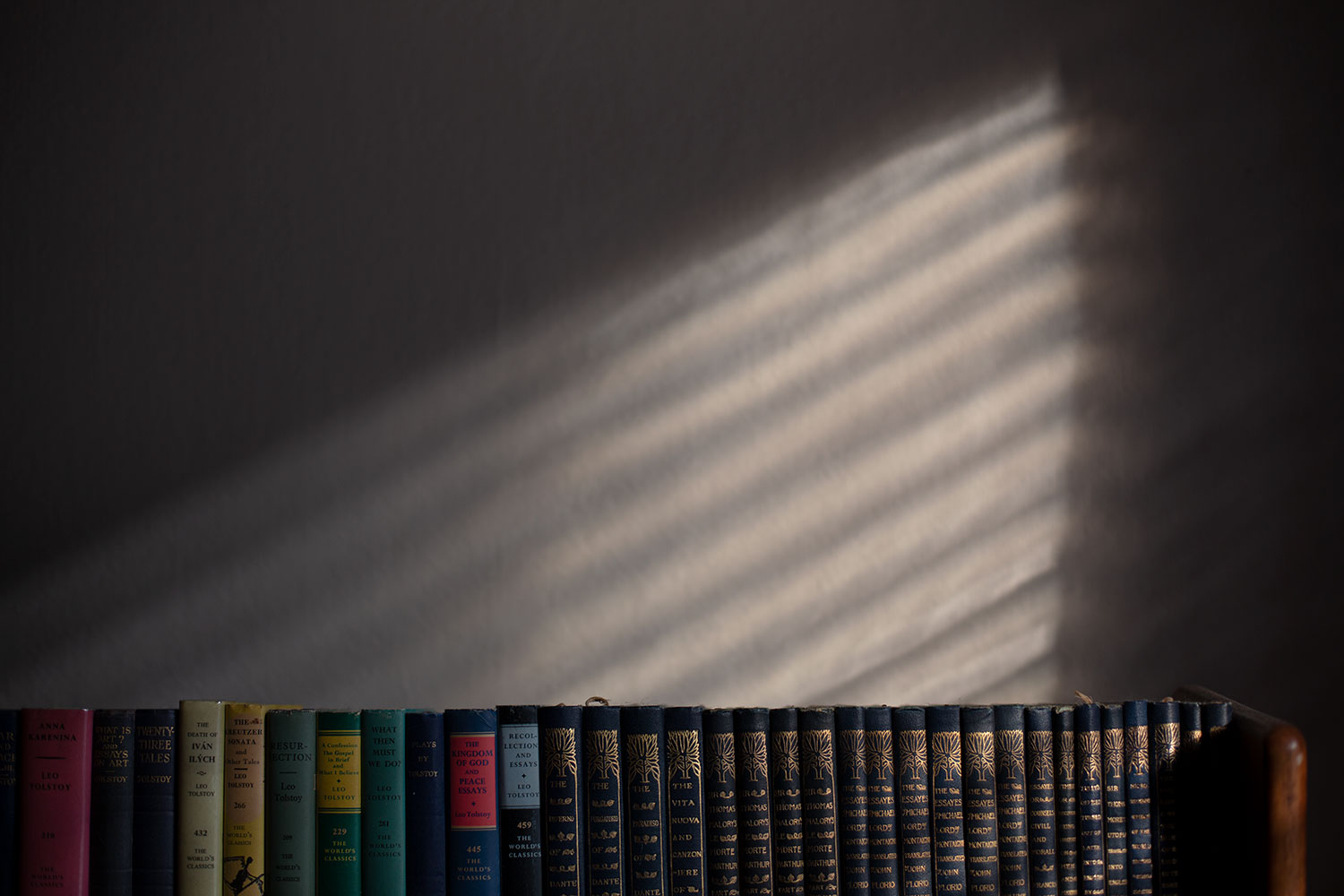 Smoky autumn light on a bookshelf