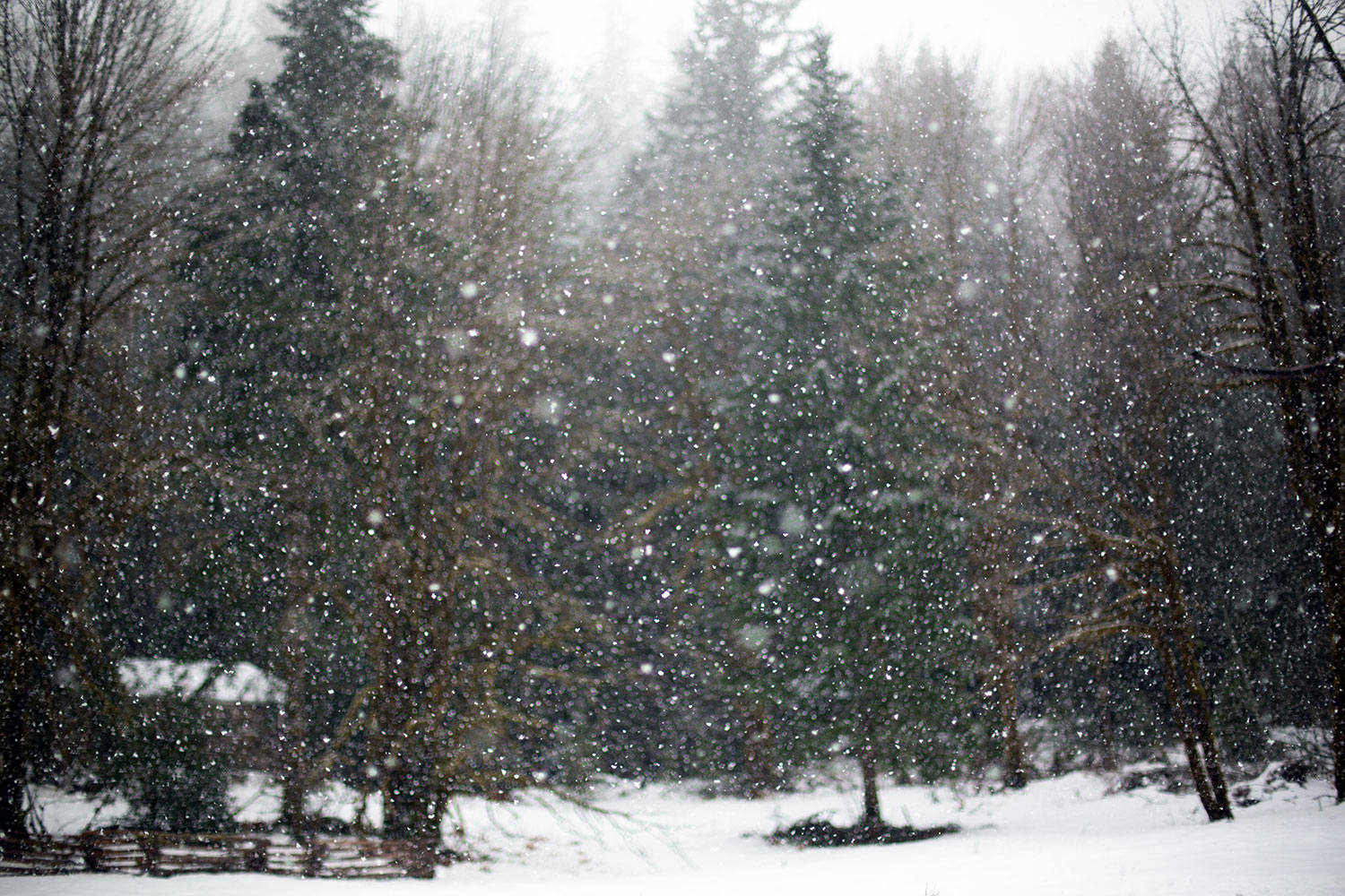 A view of a distant cabin in the windows across a meadow in the snow.