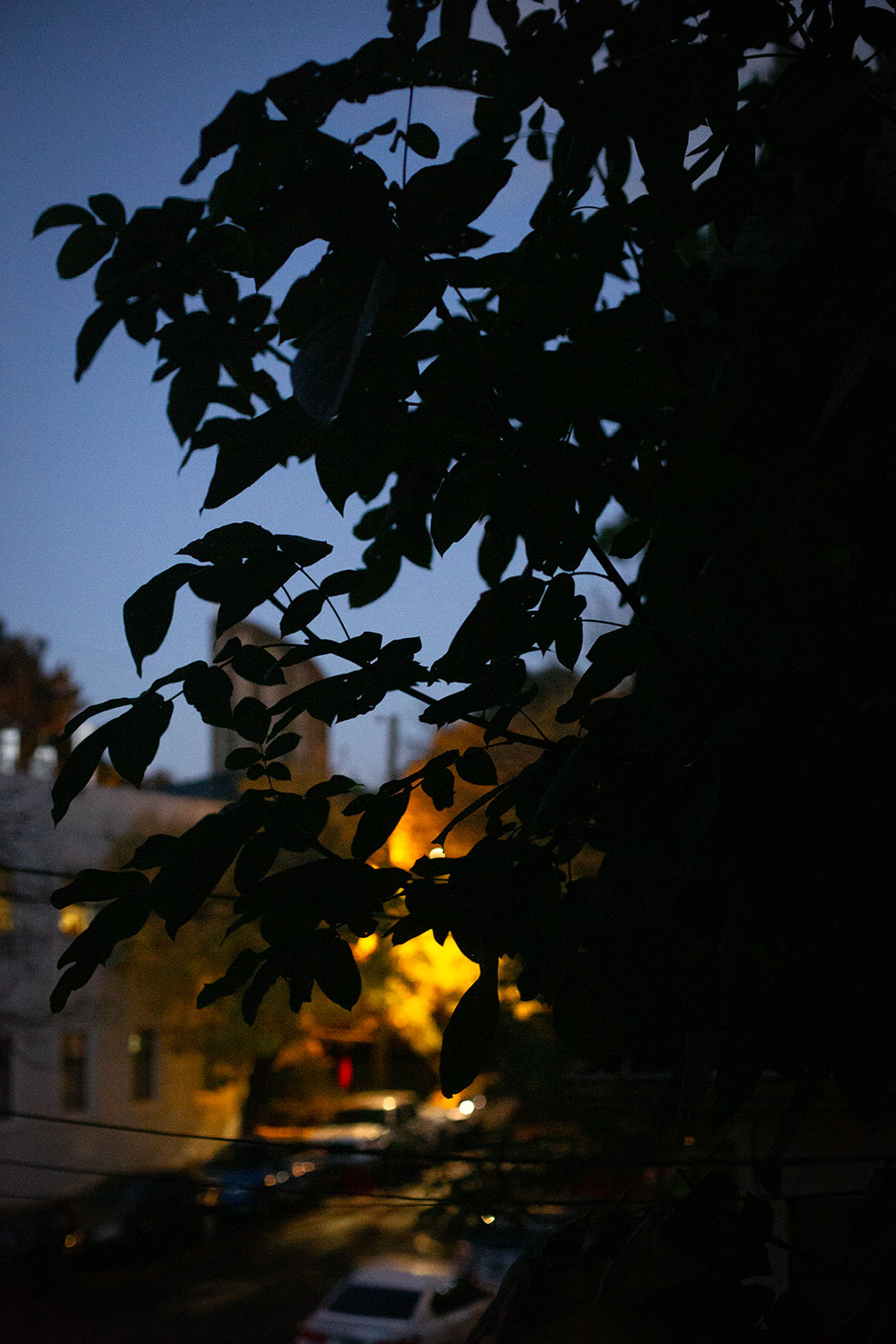 A view from the window in the early autumn evening