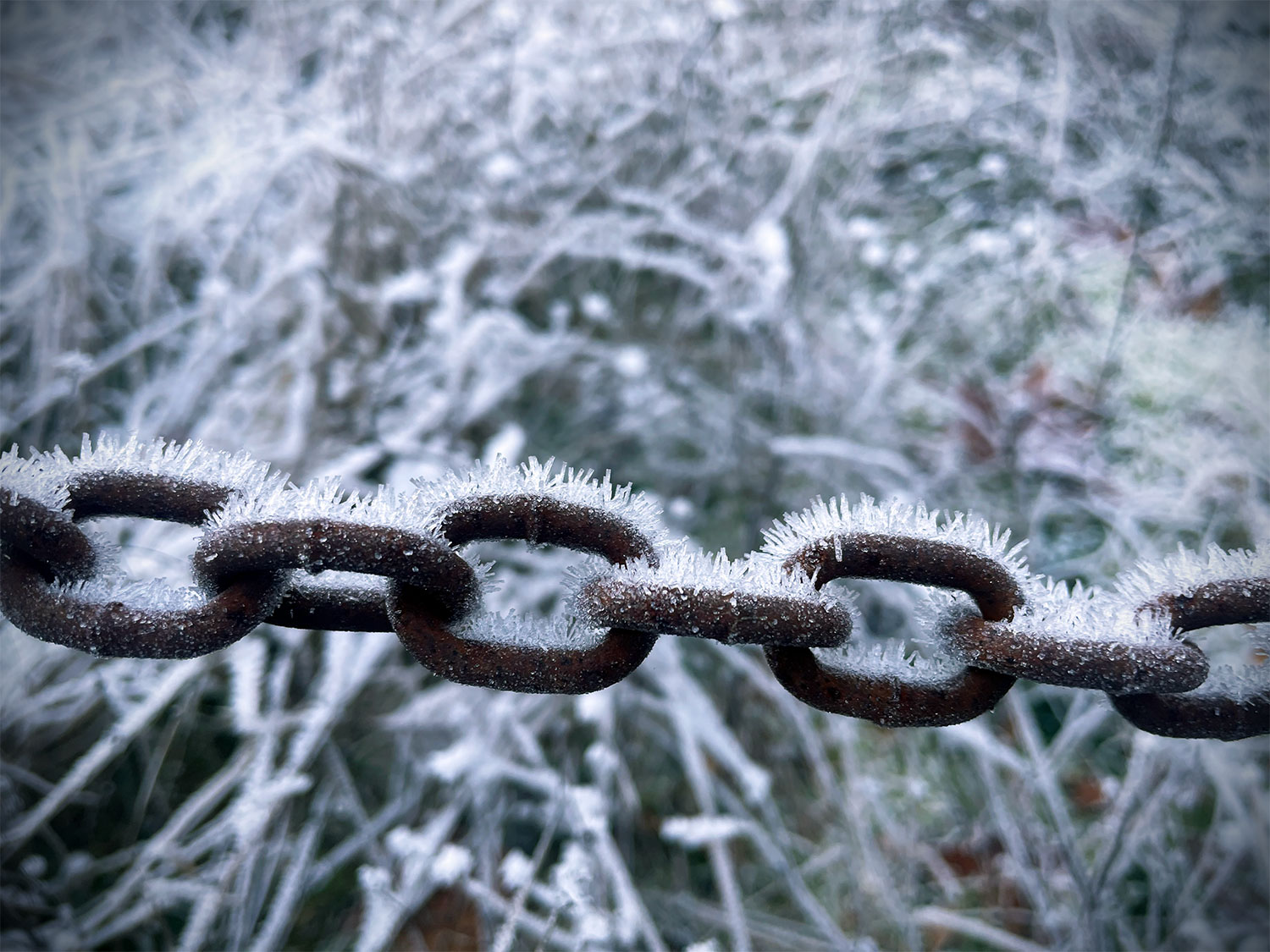 A frost covered chain in front of a frost covered meadow