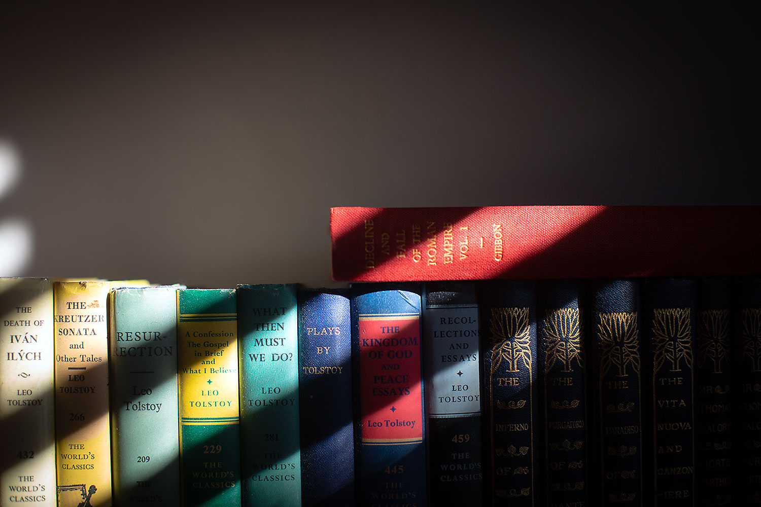 A certain slant of light on some books