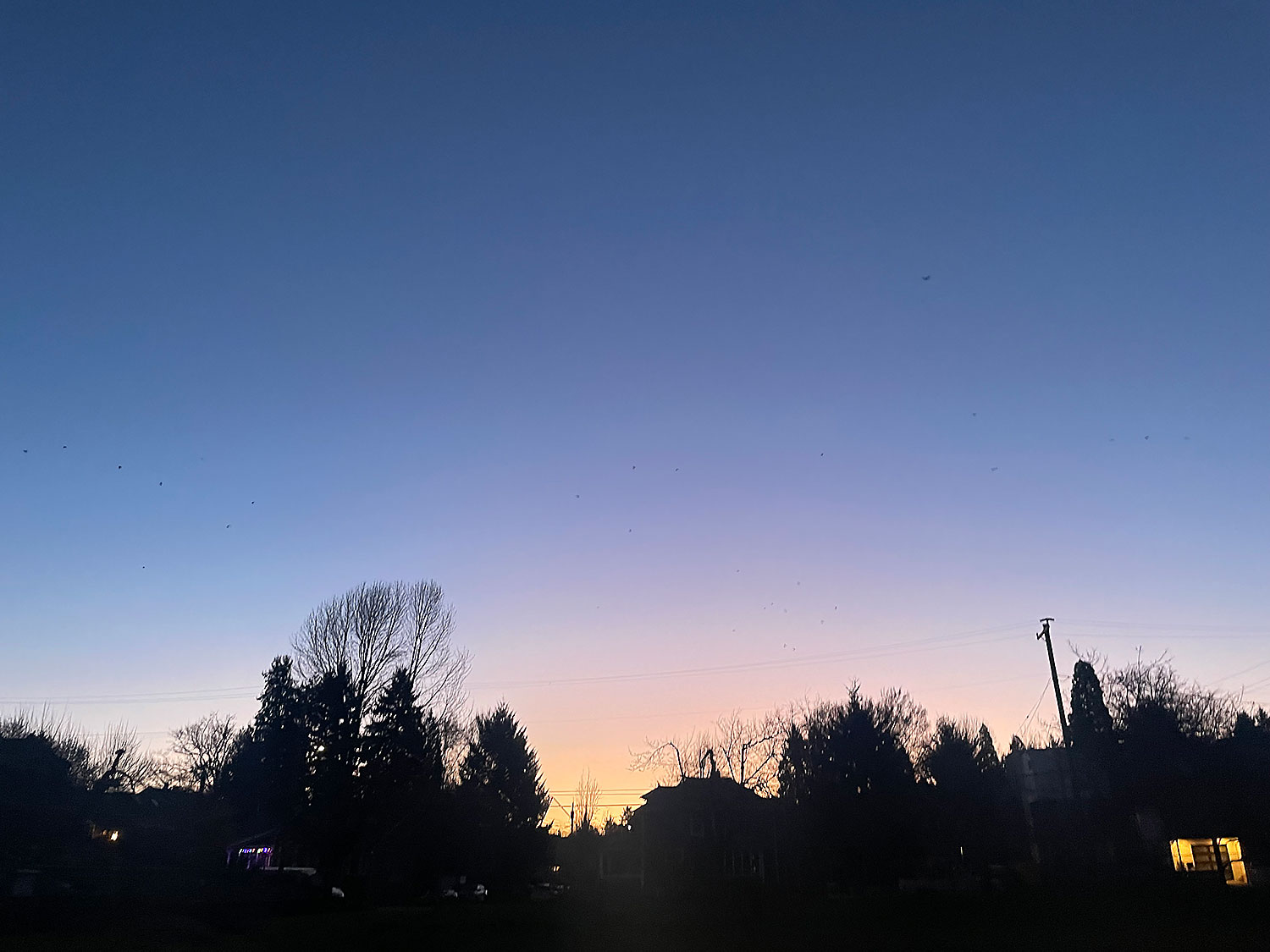 Dawn and spring, purple sky, the silhouettes of trees and houses, a lit window.