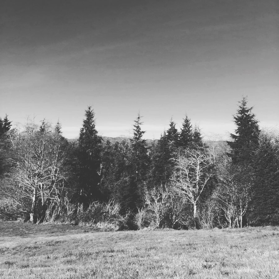 An image of the view from hillside beneath the Astoria Column in NW Oregon