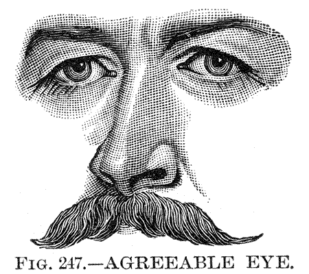 The agreeable eye