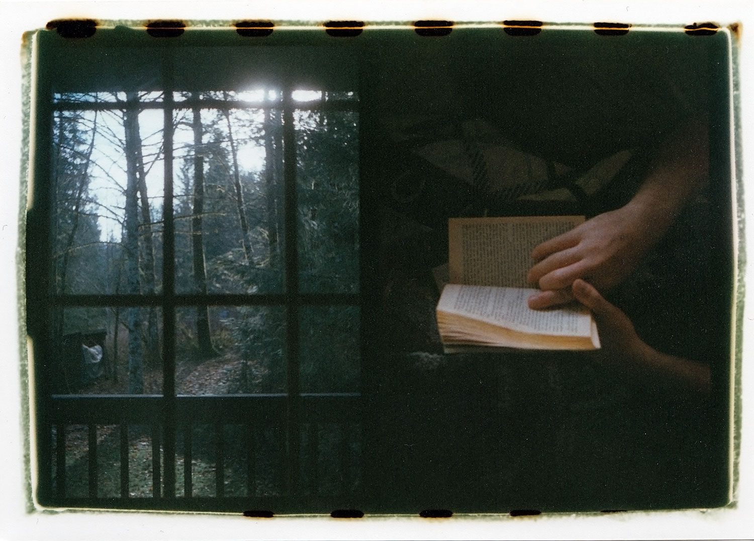 Reading out in the woods