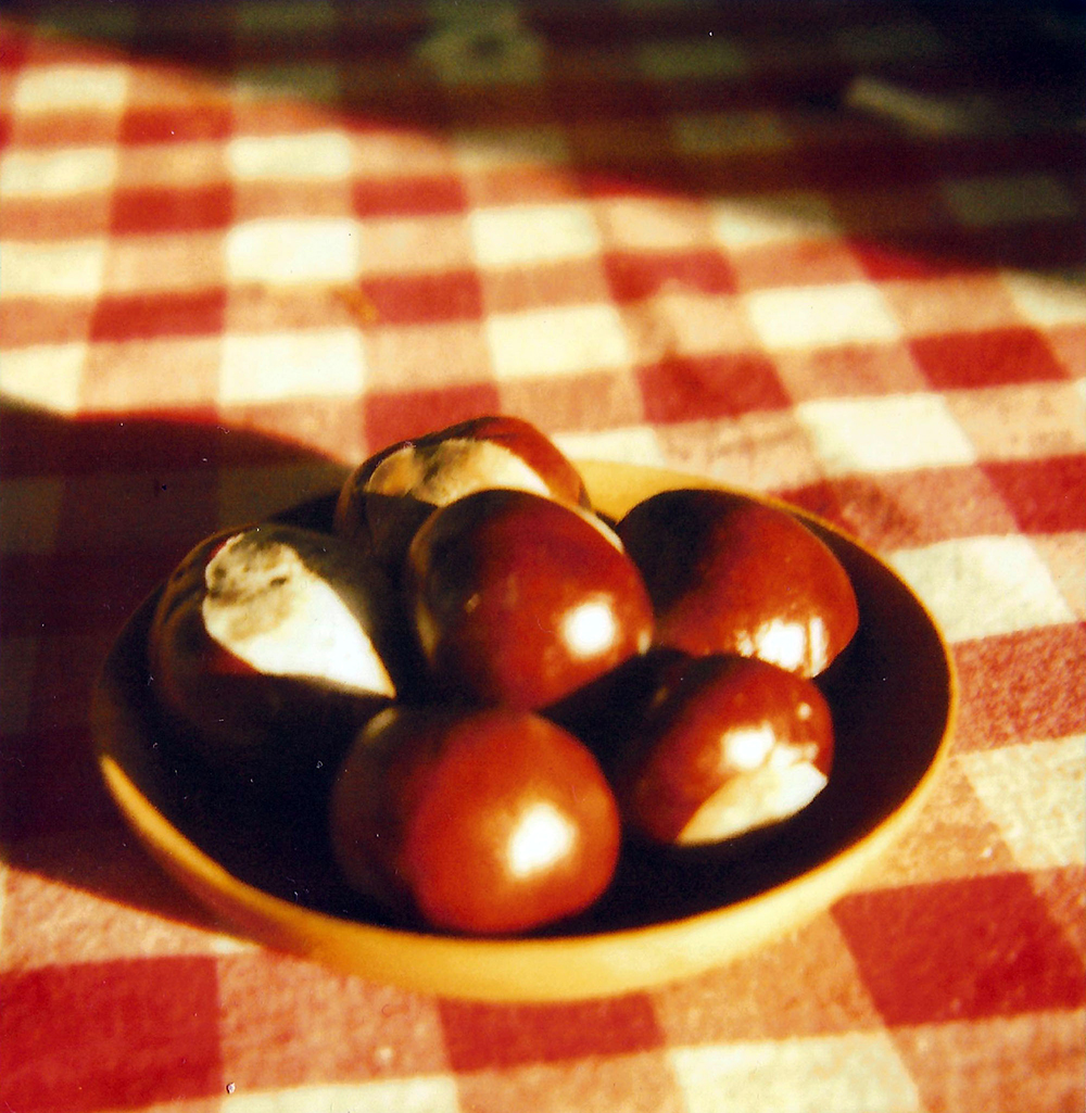 conkers