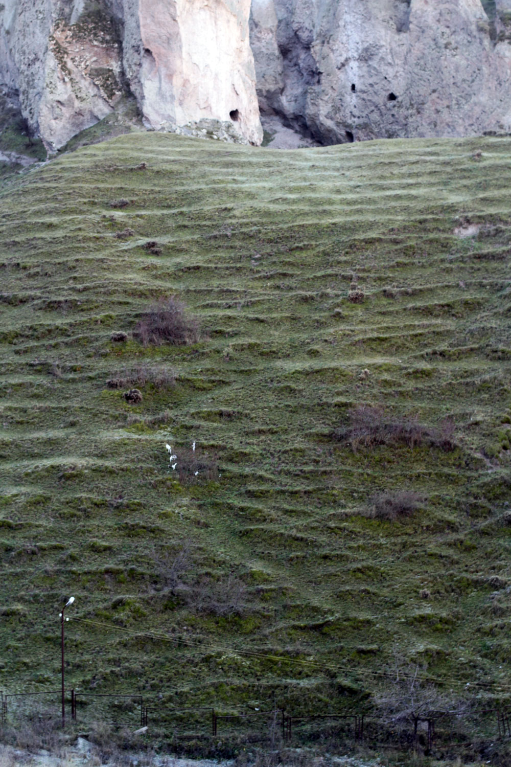 Traces of movement in old Goris