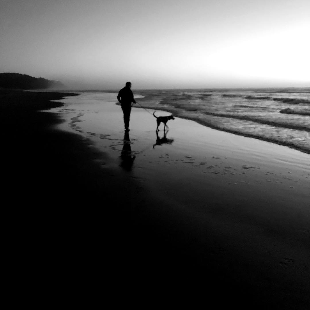 An image of a person walking a dog by the ocean, backlit by the last light of a sunset