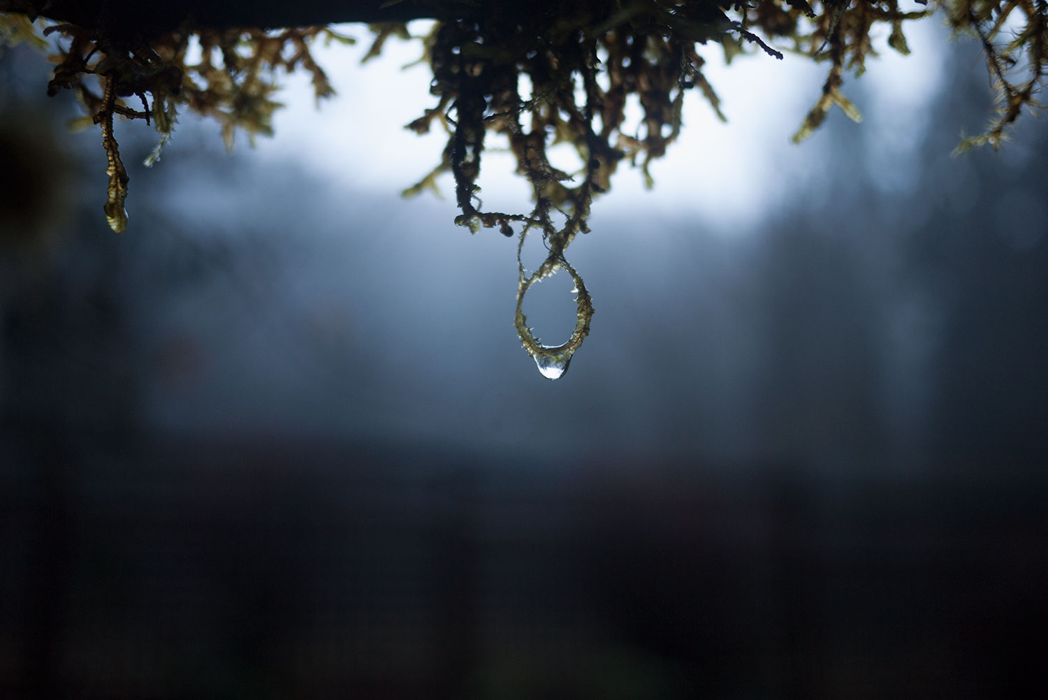 droplet