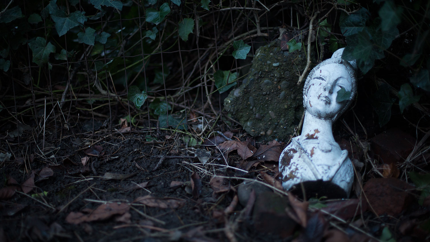 An inexplicable bust in the backyard.