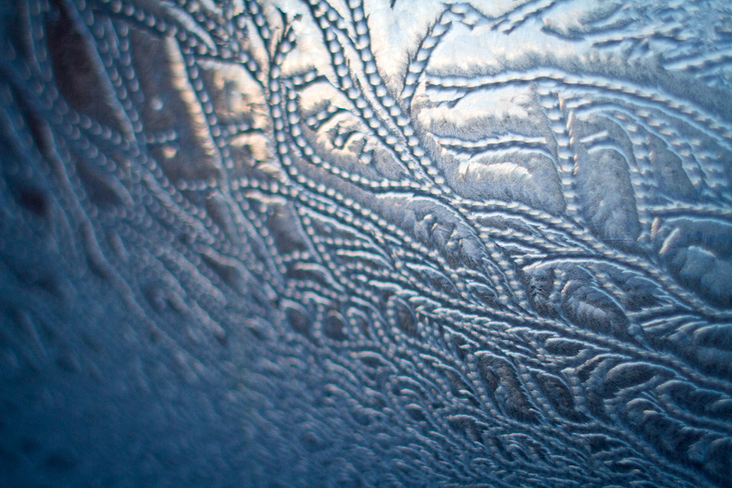 morning frost