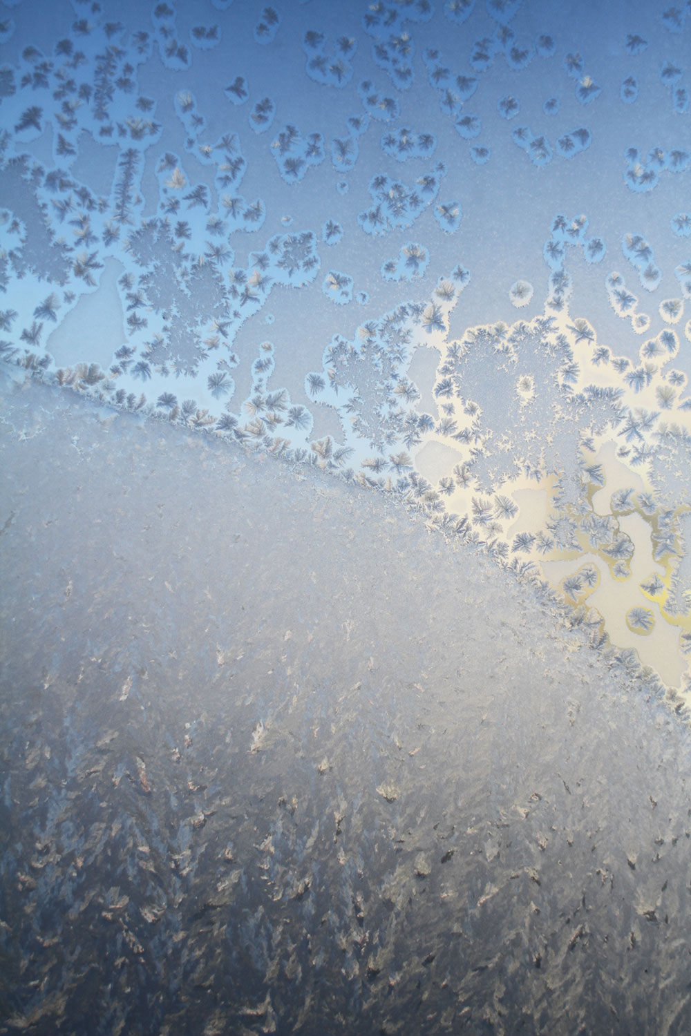 frost on the window