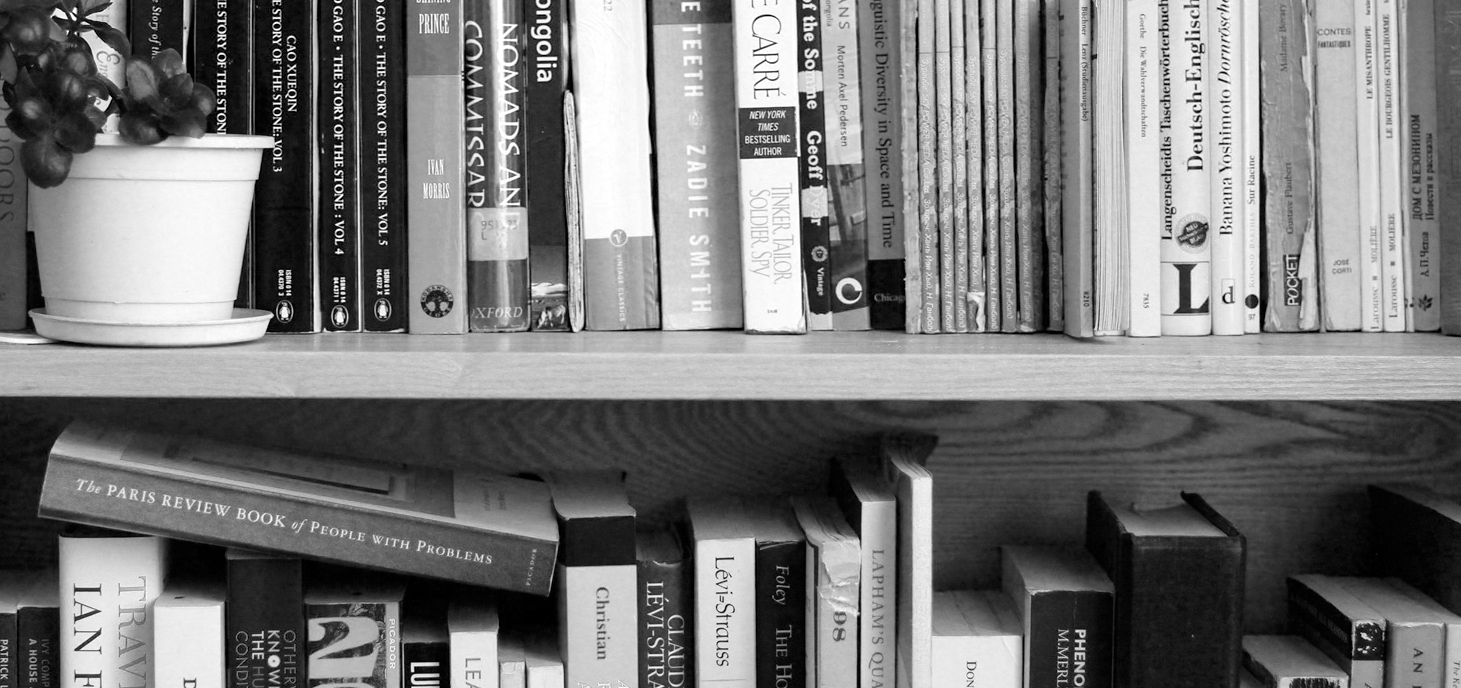 Some books, on a shelf, with a plant