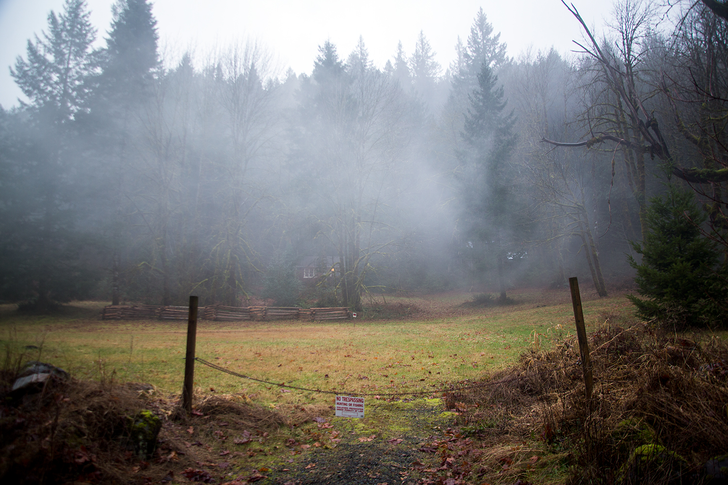 A mist, a meadow, winter