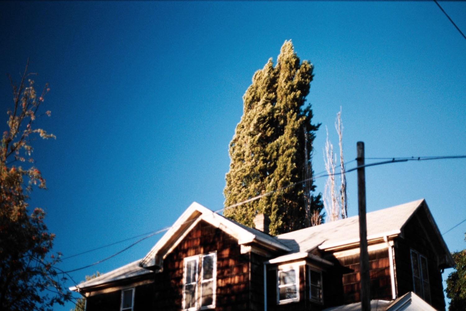 a house, in Portland