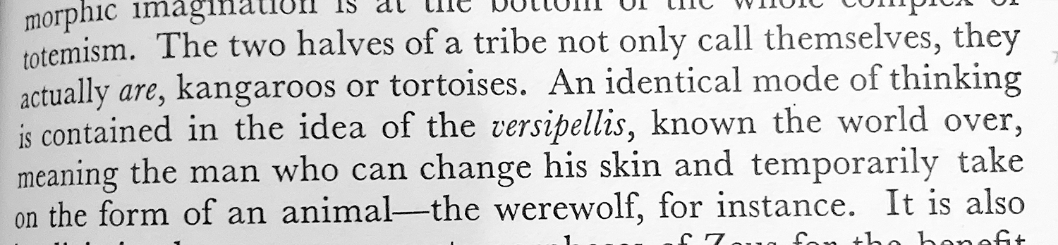 The two halves of a tribe not only call themselves, they actually are, kangaroos or tortoises. An identical mode of thinking is contained in the idea of the versipellis, known the world over, meaning the man who can change his skin and temporarily take on the form of an animal—the werewolf, for instance.