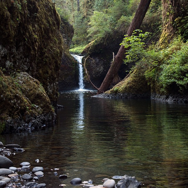 a view of Upper Punchbowl Falls, Columbia River Gorge, very green and pleasant