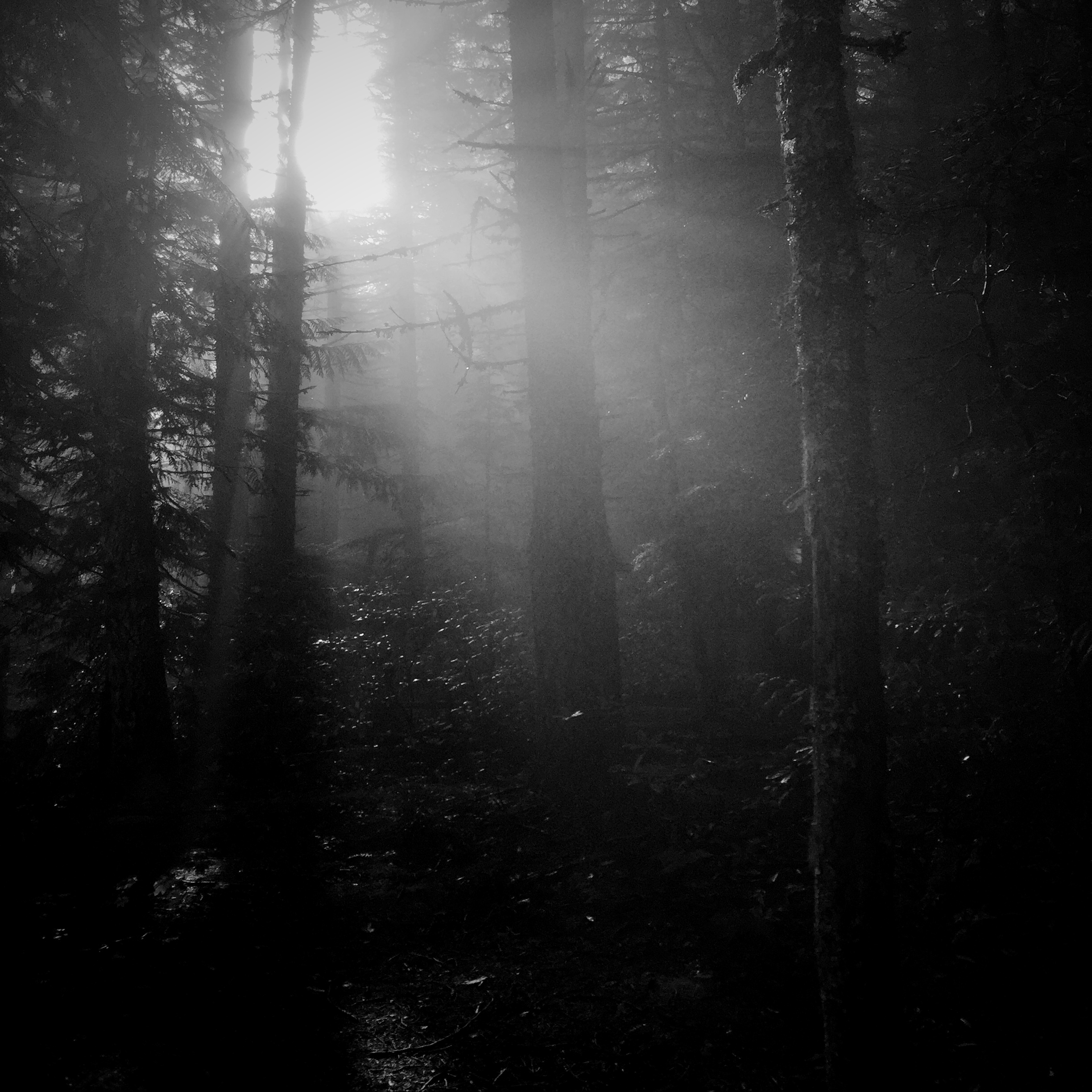 a picture of sunlight shining through some rather dark trees up at the mountain near a lake