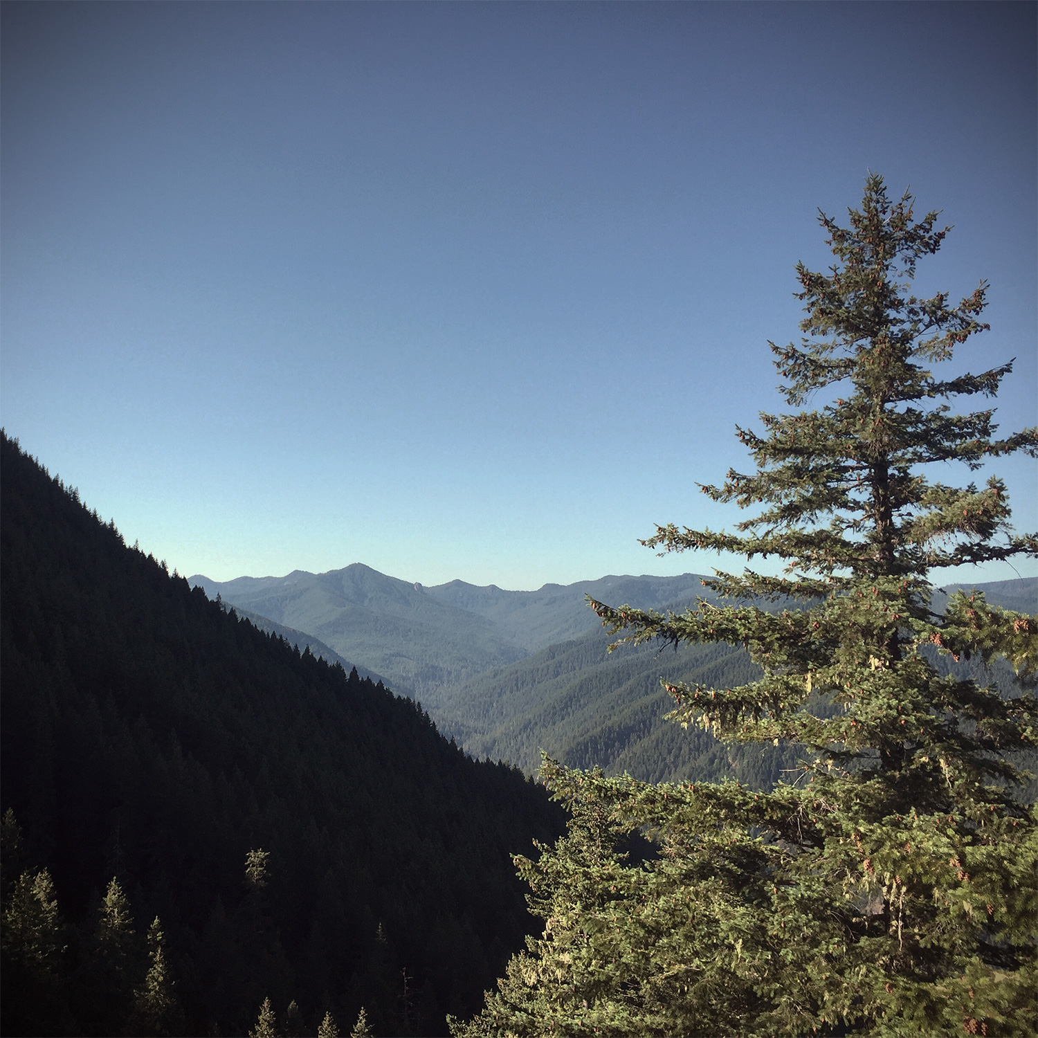 A distant view of hills