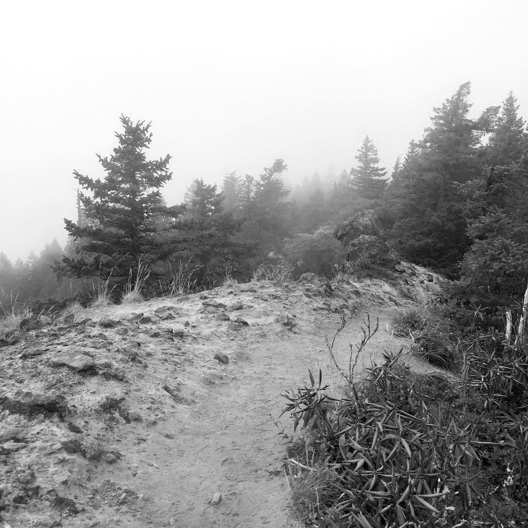 A black and white image of a misty height, uncanny