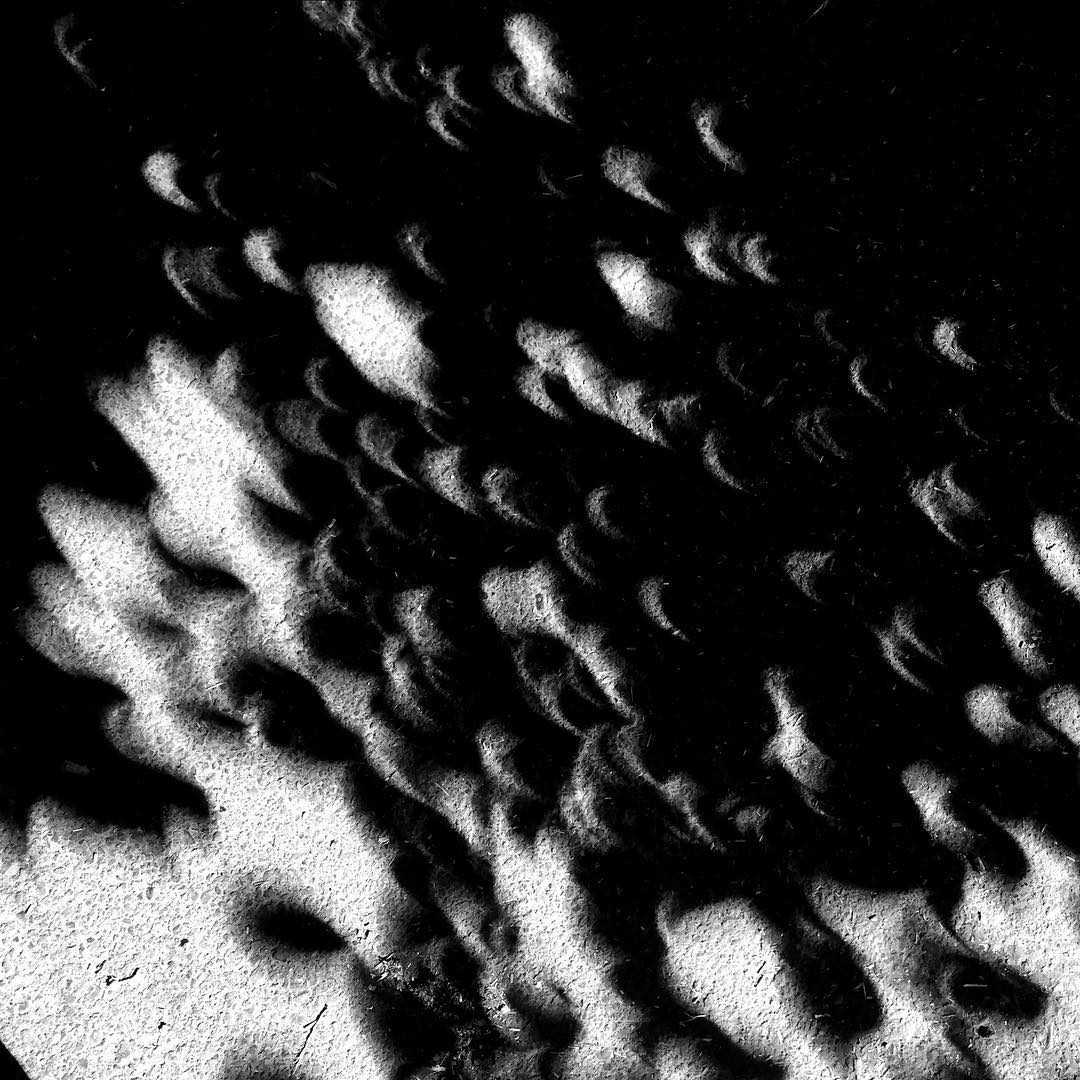 A black and white photograph of the distinctive crescent-shaped sunspots during an eclipse