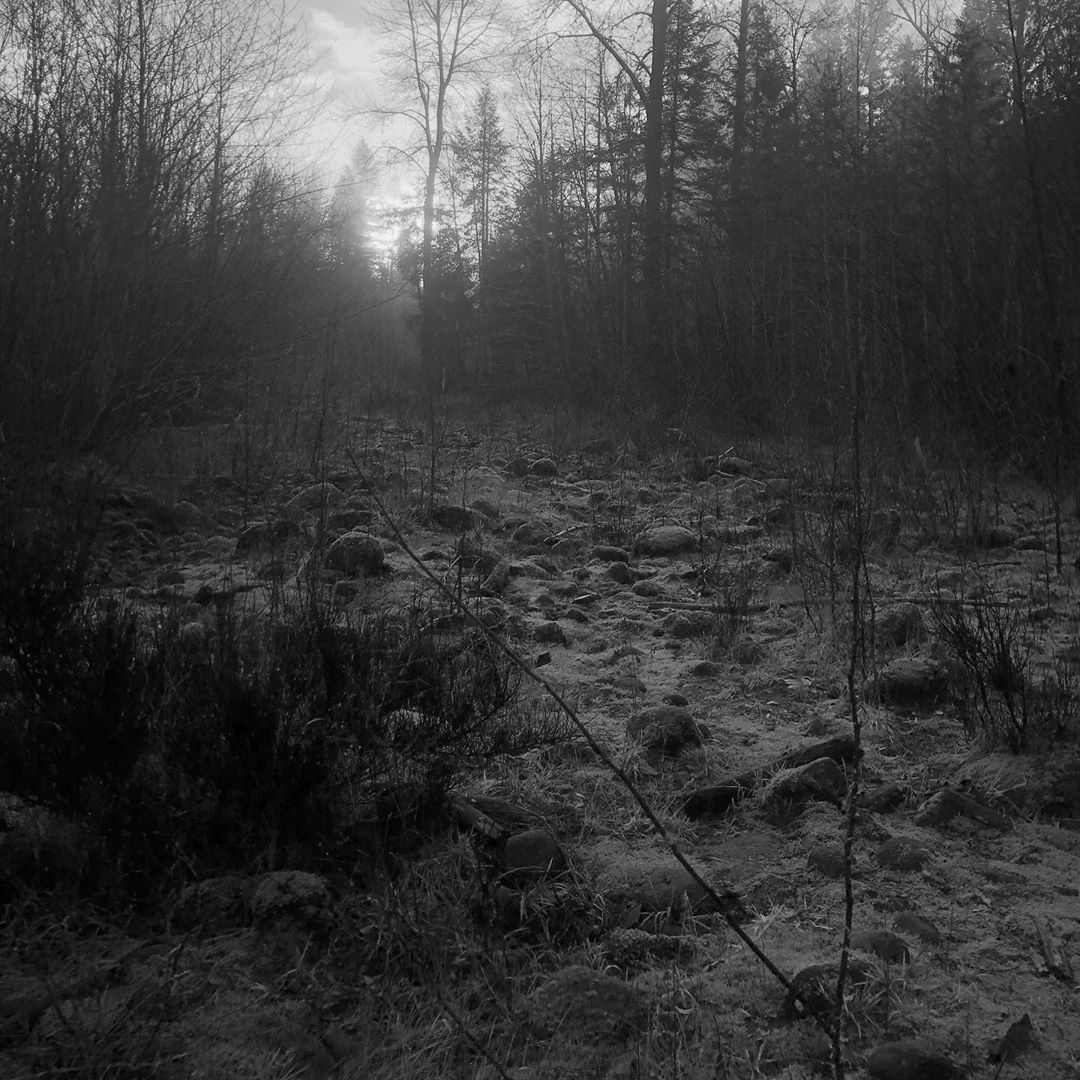 a very dark and dreary picture of some rocks and moss and dry riverbed