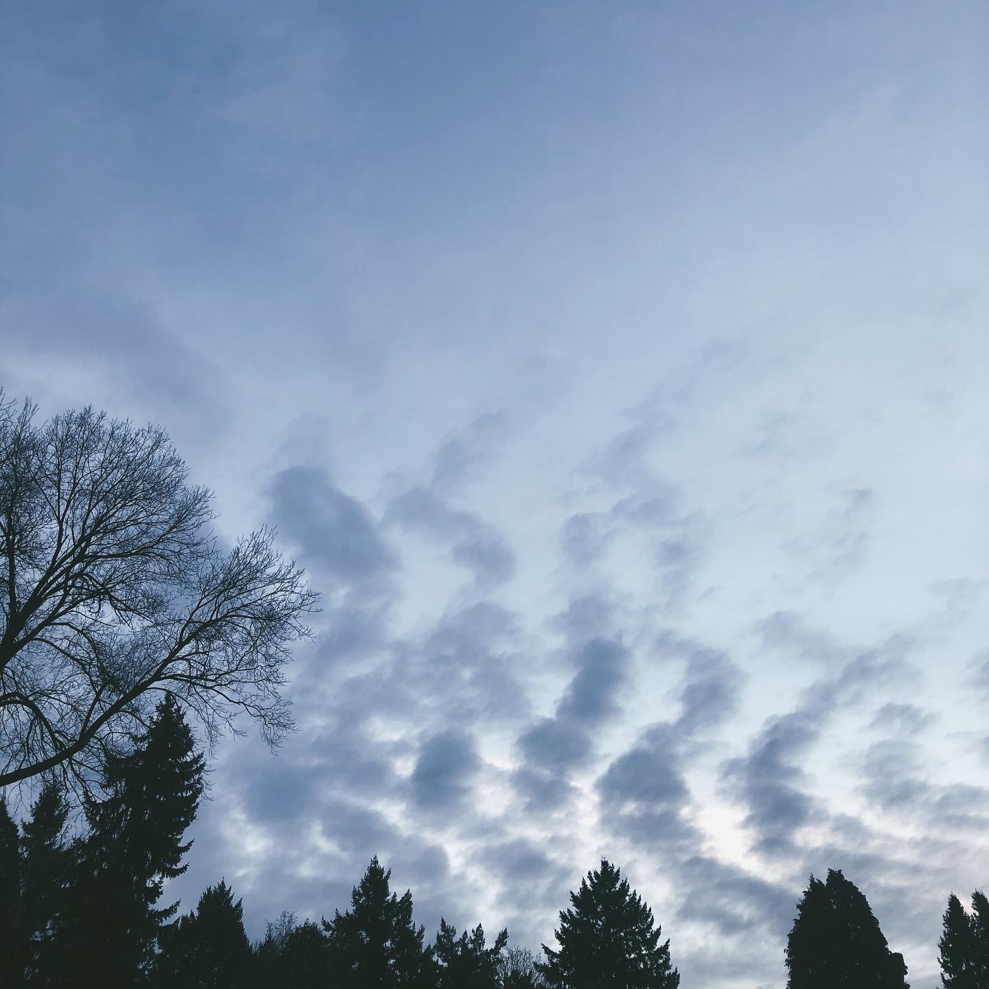 Some clouds above a cemetery