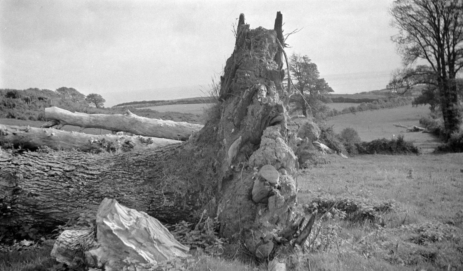 Paul Nash, Stalking Horse, 1941