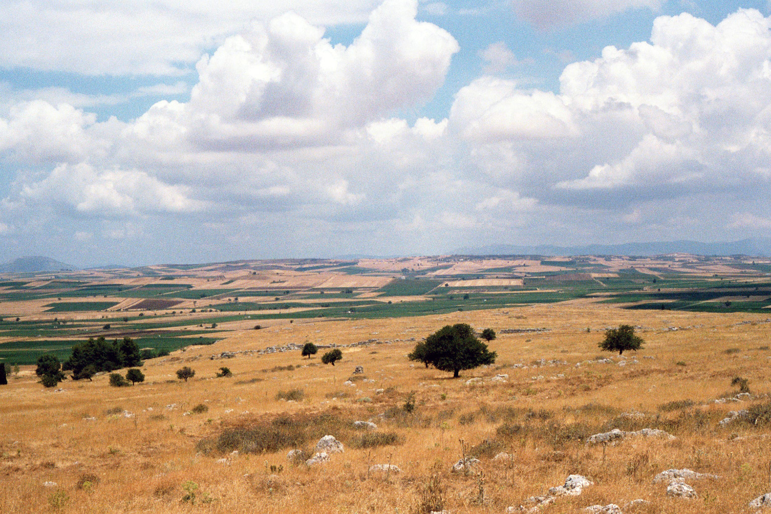 A field where the Greeks and Persians fought.