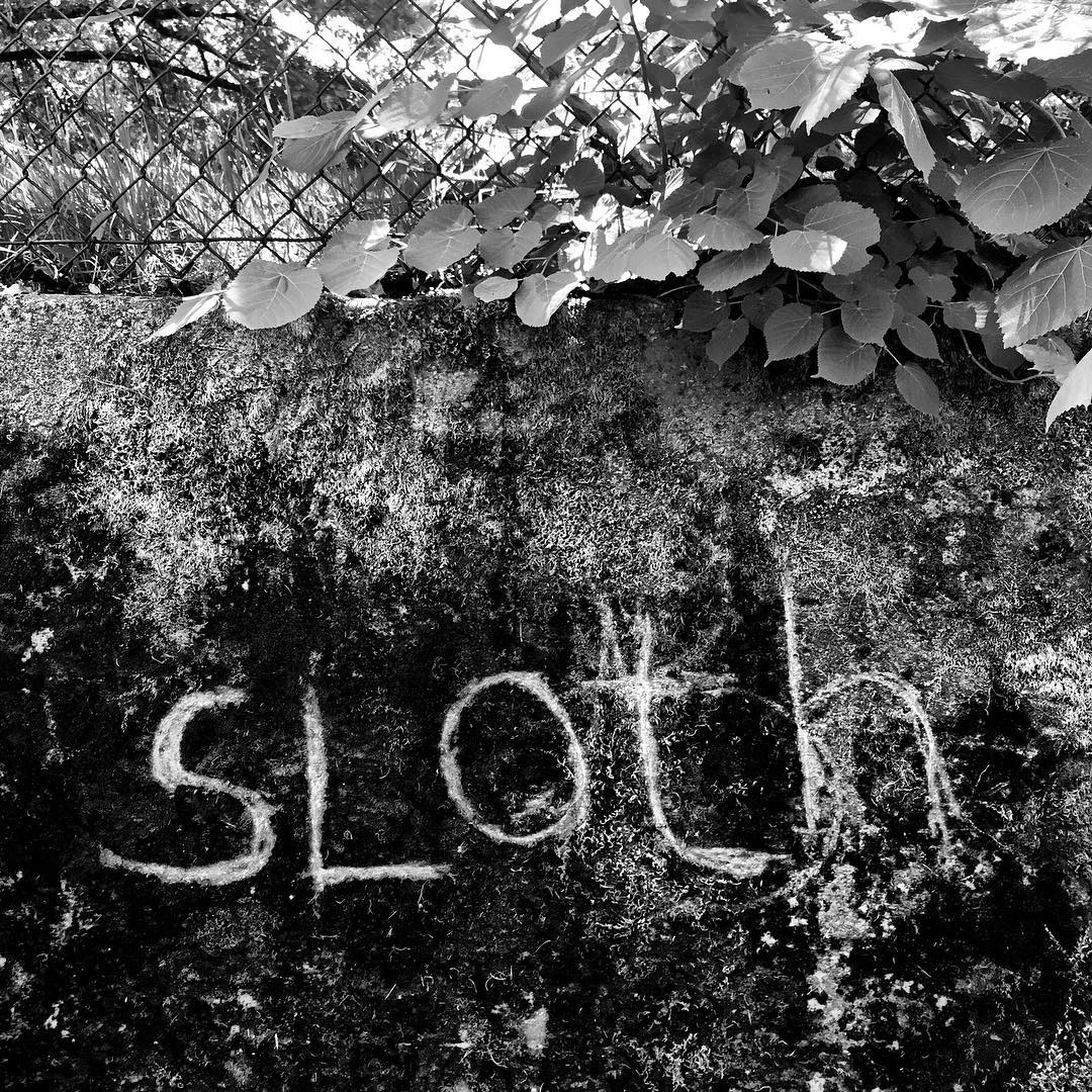 An image of the word 'sloth' scratched into the moss on a concrete wall along Stark street in SE Portland