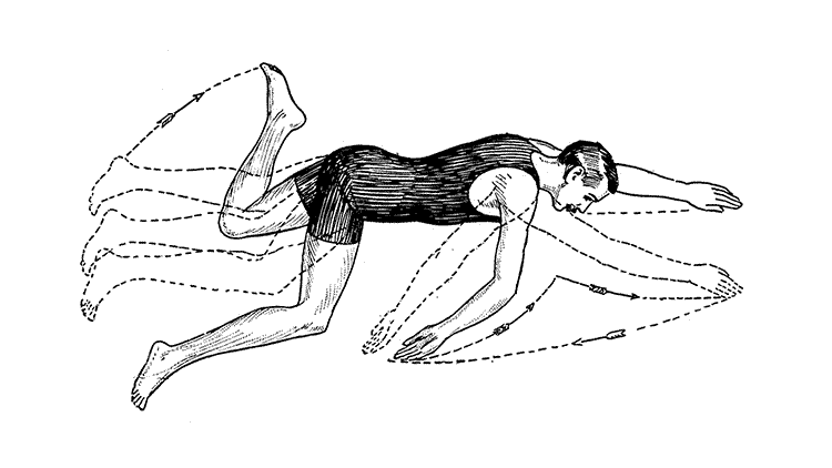 Arm and leg movements in the English racing stroke.